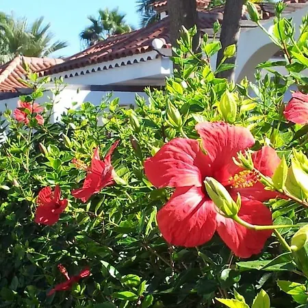 La Esquinita Maspalomas (Gran Canaria)